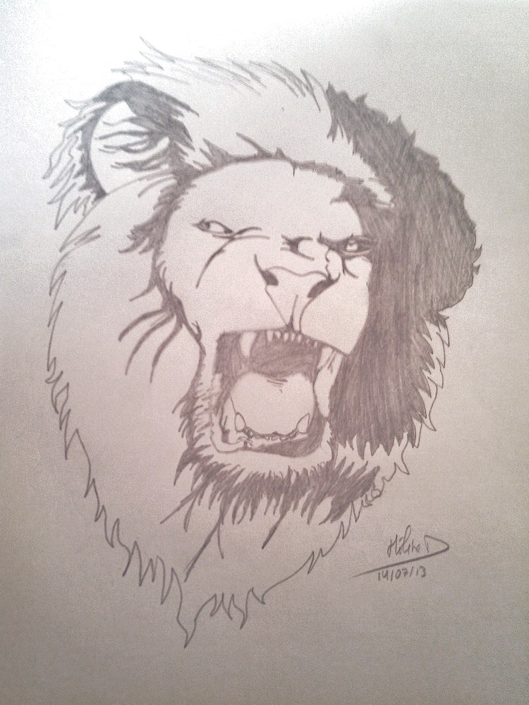 Lion